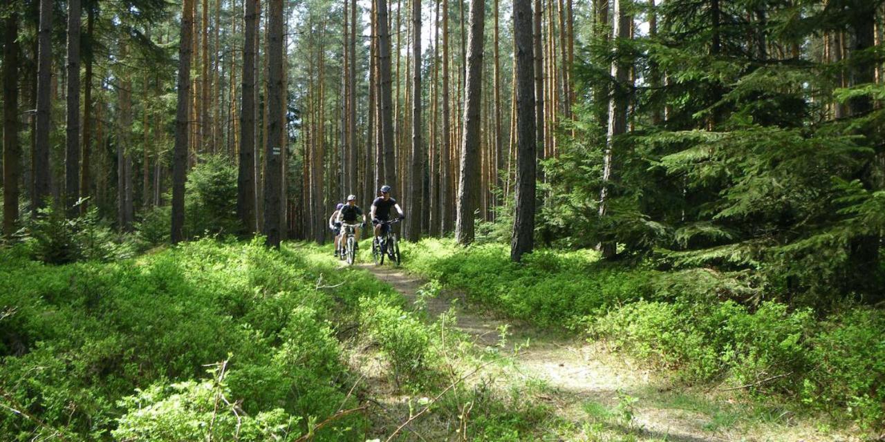 Ferienhaus Luneburger Heide Eschede Bagian luar foto