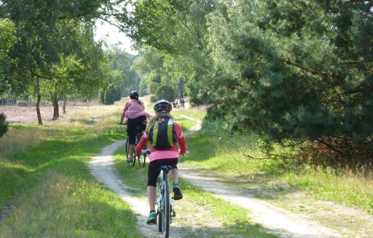 Ferienhaus Luneburger Heide Eschede Bagian luar foto