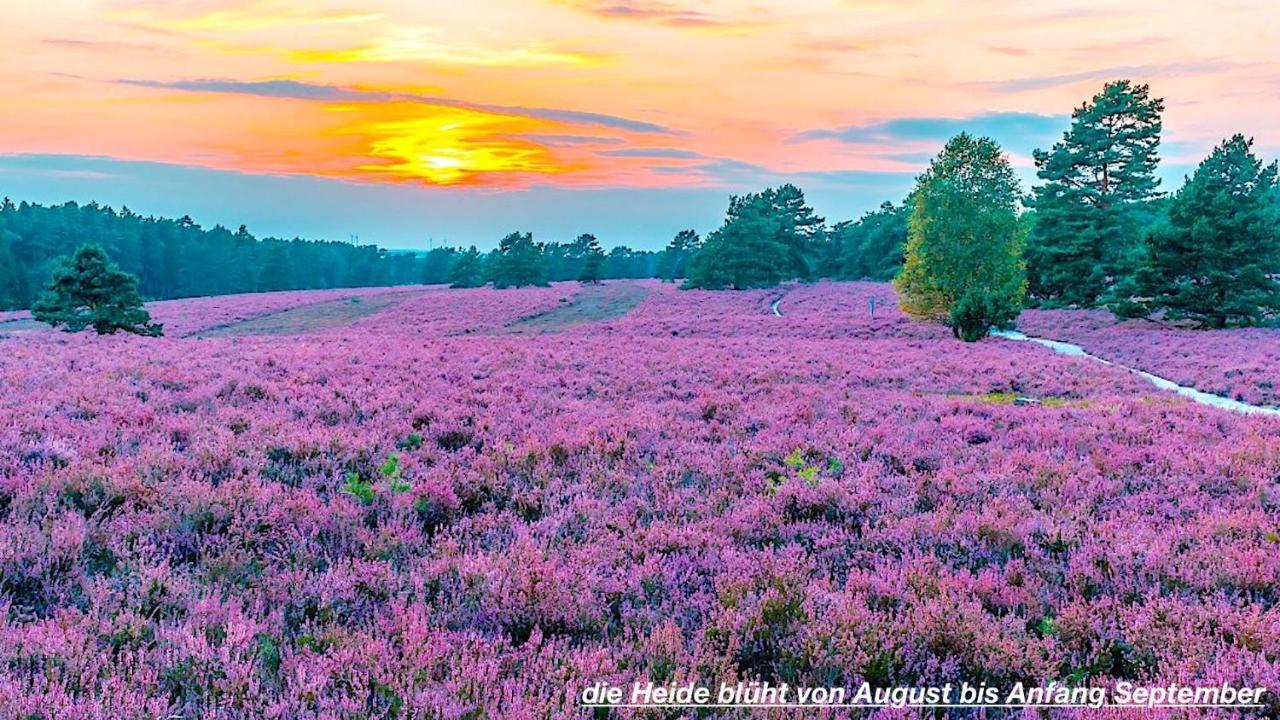 Ferienhaus Luneburger Heide Eschede Bagian luar foto